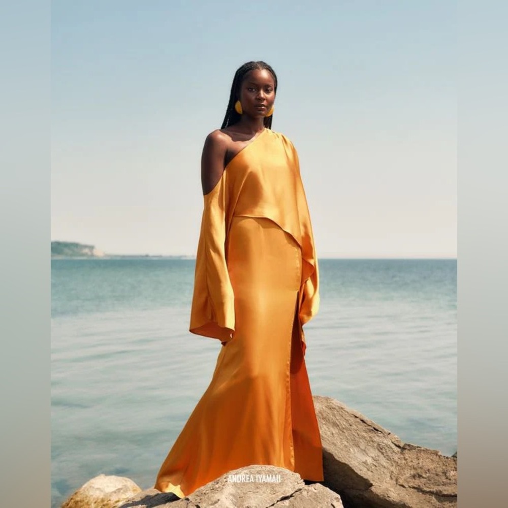 Andrea Iyamah Leena Gown - Picture 4 of 6
